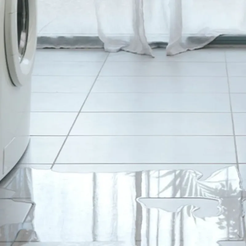 Appliance Leak Cleanup in Arundel, ME