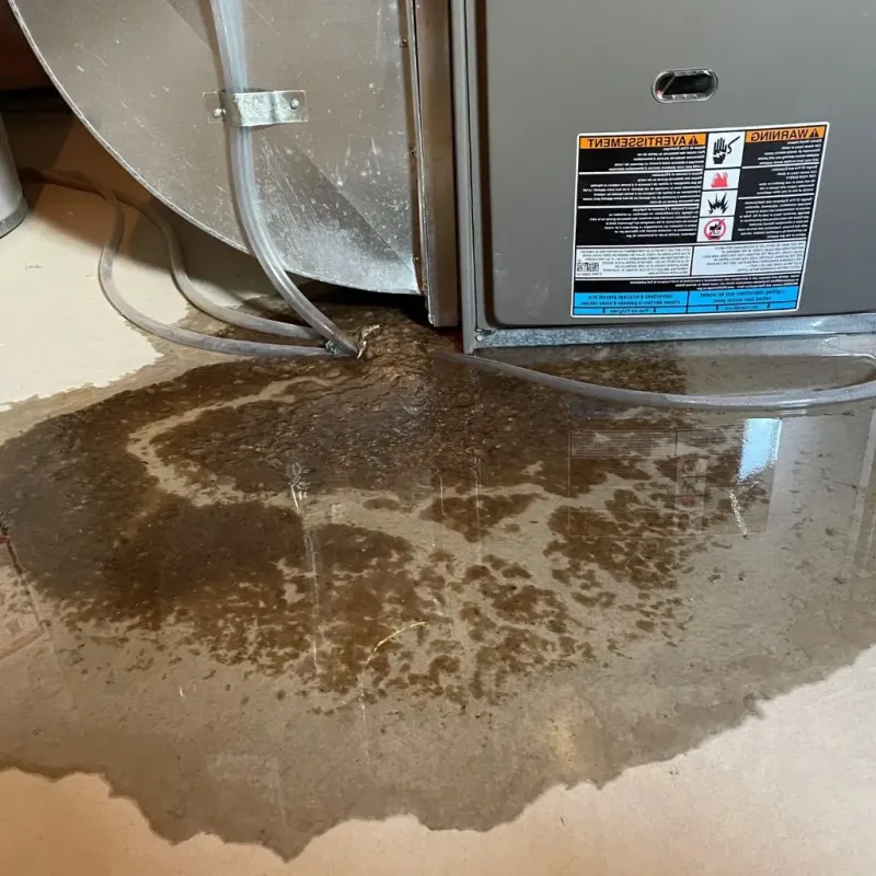 Pipe Burst and Leak Restoration in Arundel, ME
